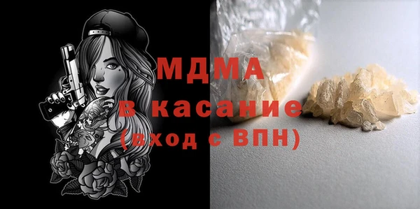 индика Гусь-Хрустальный