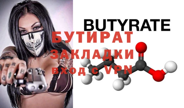 индика Гусь-Хрустальный