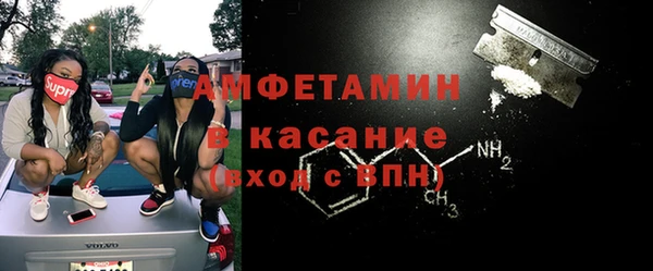 индика Гусь-Хрустальный