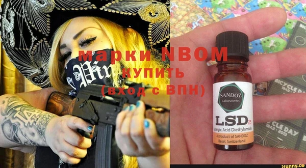 apvp Вяземский