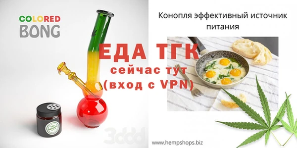 индика Гусь-Хрустальный