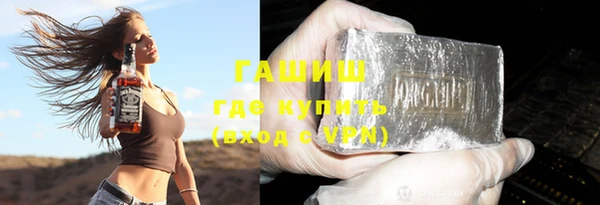 индика Гусь-Хрустальный
