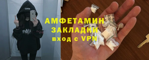 индика Гусь-Хрустальный