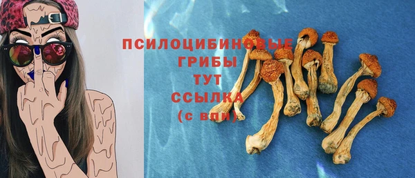 apvp Вяземский