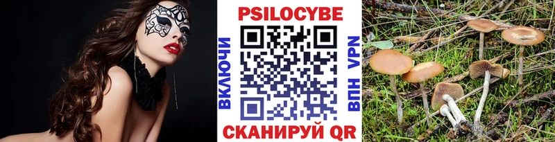 Псилоцибиновые грибы MAGIC MUSHROOMS  купить наркоту  Давлеканово 